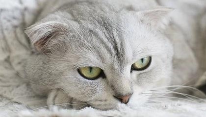 毕节伴游，定制QQ：3494206190微信：act1322