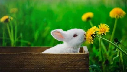 毕节伴游，定制QQ：3494206190微信：act1322